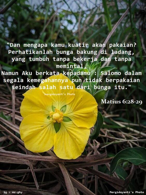 hal kekuatiran