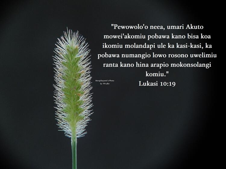 Lukasi 10:19